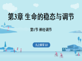 3.1 神经调节（课件）2026-2027学年浙教版科学九年级上册