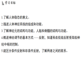 3.1 神经调节（课件）2026-2027学年浙教版科学九年级上册