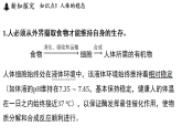 3.1 神经调节（课件）2026-2027学年浙教版科学九年级上册