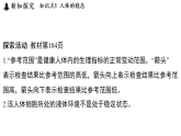 3.1 神经调节（课件）2026-2027学年浙教版科学九年级上册