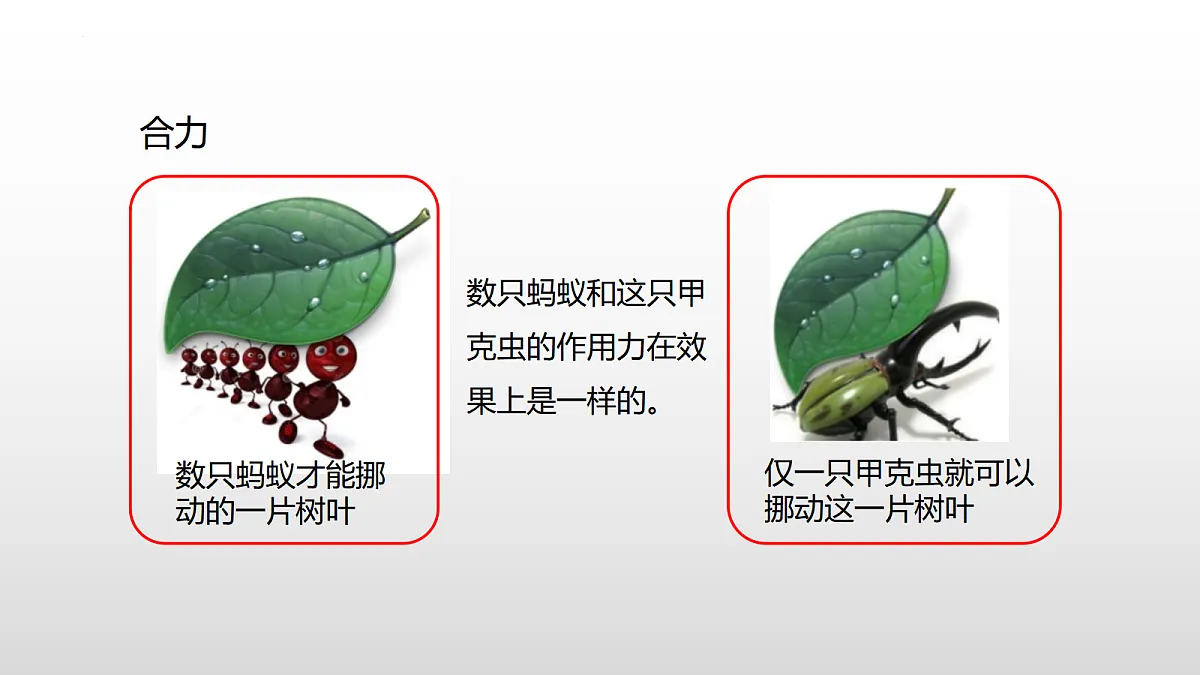 18482627第4页
