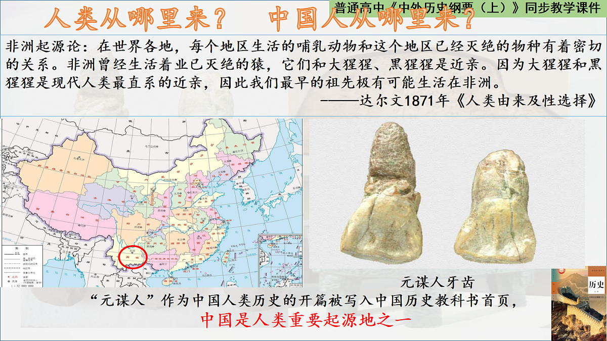 18482750第2页