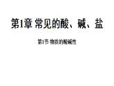 1.1 物质的酸碱性 (课件)-2026-2027学年浙教版科学(2024)九年级上册
