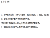 1.1 物质的酸碱性 (课件)-2026-2027学年浙教版科学(2024)九年级上册