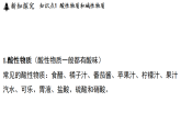 1.1 物质的酸碱性 (课件)-2026-2027学年浙教版科学(2024)九年级上册