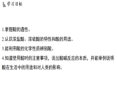 1.2 常见的酸 (课件)-2026-2027学年浙教版科学(2024)九年级上册