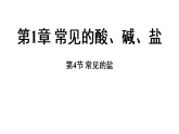 1.4  常见的盐 (课件)-2026-2027学年浙教版科学(2024)九年级上册