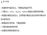 1.4  常见的盐 (课件)-2026-2027学年浙教版科学(2024)九年级上册