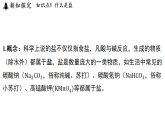 1.4  常见的盐 (课件)-2026-2027学年浙教版科学(2024)九年级上册