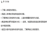 3.1 神经调节 (课件)-2026-2027学年浙教版科学(2024)九年级上册