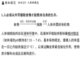 3.1 神经调节 (课件)-2026-2027学年浙教版科学(2024)九年级上册