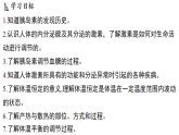 3.2 人体的激素调节 (课件)-2026-2027学年浙教版科学(2024)九年级上册
