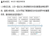 3.2 人体的激素调节 (课件)-2026-2027学年浙教版科学(2024)九年级上册