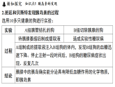 3.2 人体的激素调节 (课件)-2026-2027学年浙教版科学(2024)九年级上册