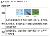 3.3 动物行为和植物的感应性 (课件)-2026-2027学年浙教版科学(2024)九年级上册
