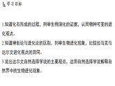 4.2 生物的进化 (课件)-2026-2027学年浙教版科学(2024)九年级上册