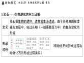 4.2 生物的进化 (课件)-2026-2027学年浙教版科学(2024)九年级上册