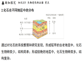 4.2 生物的进化 (课件)-2026-2027学年浙教版科学(2024)九年级上册