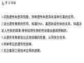 4.3 遗传和变异 (课件)-2026-2027学年浙教版科学(2024)九年级上册