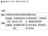 4.3 遗传和变异 (课件)-2026-2027学年浙教版科学(2024)九年级上册