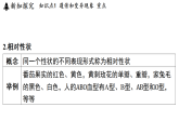 4.3 遗传和变异 (课件)-2026-2027学年浙教版科学(2024)九年级上册