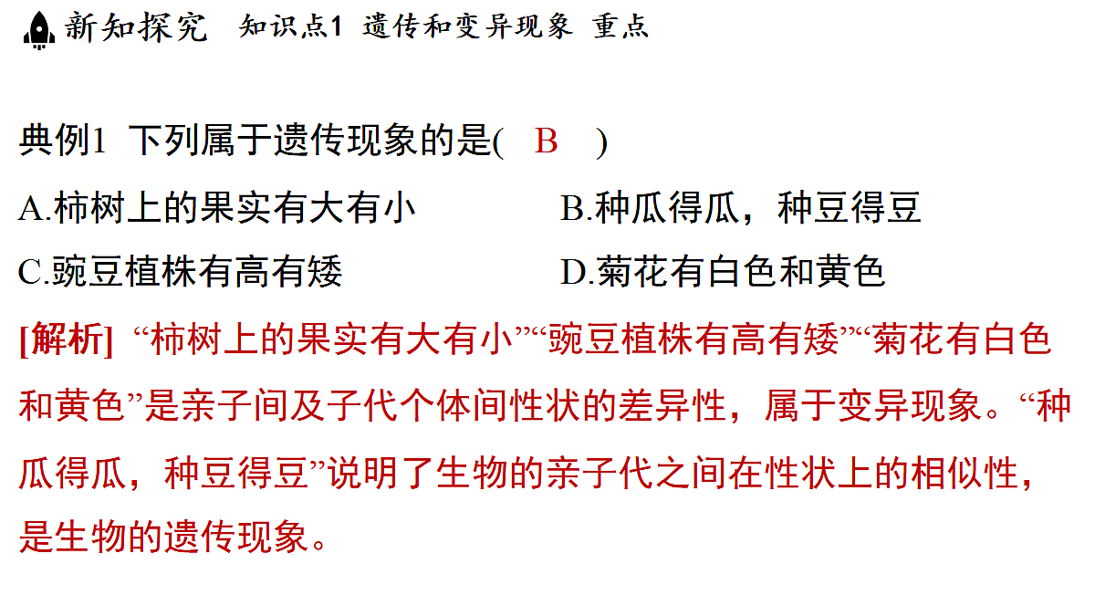 18483165第7页