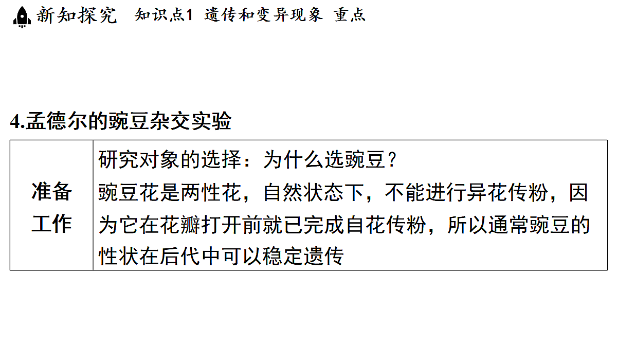 18483165第8页