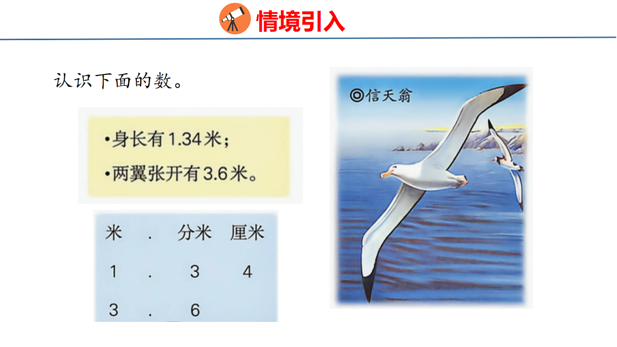 18484601第3页