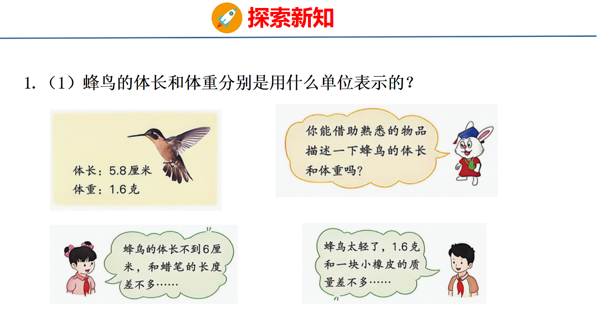 18484603第4页