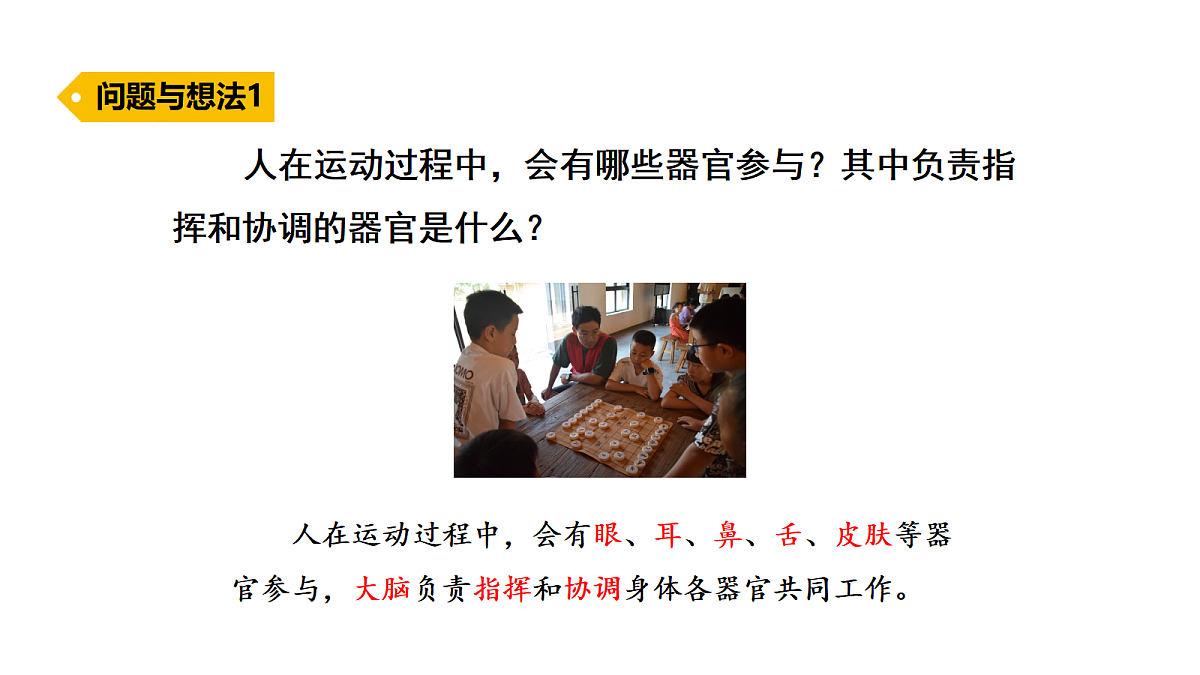 18486031第3页