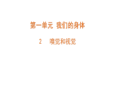 2026年秋粤教版五年级科学上册 2.嗅觉和视觉（课件）