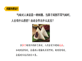 2026年秋粤教版五年级科学上册 2.嗅觉和视觉（课件）