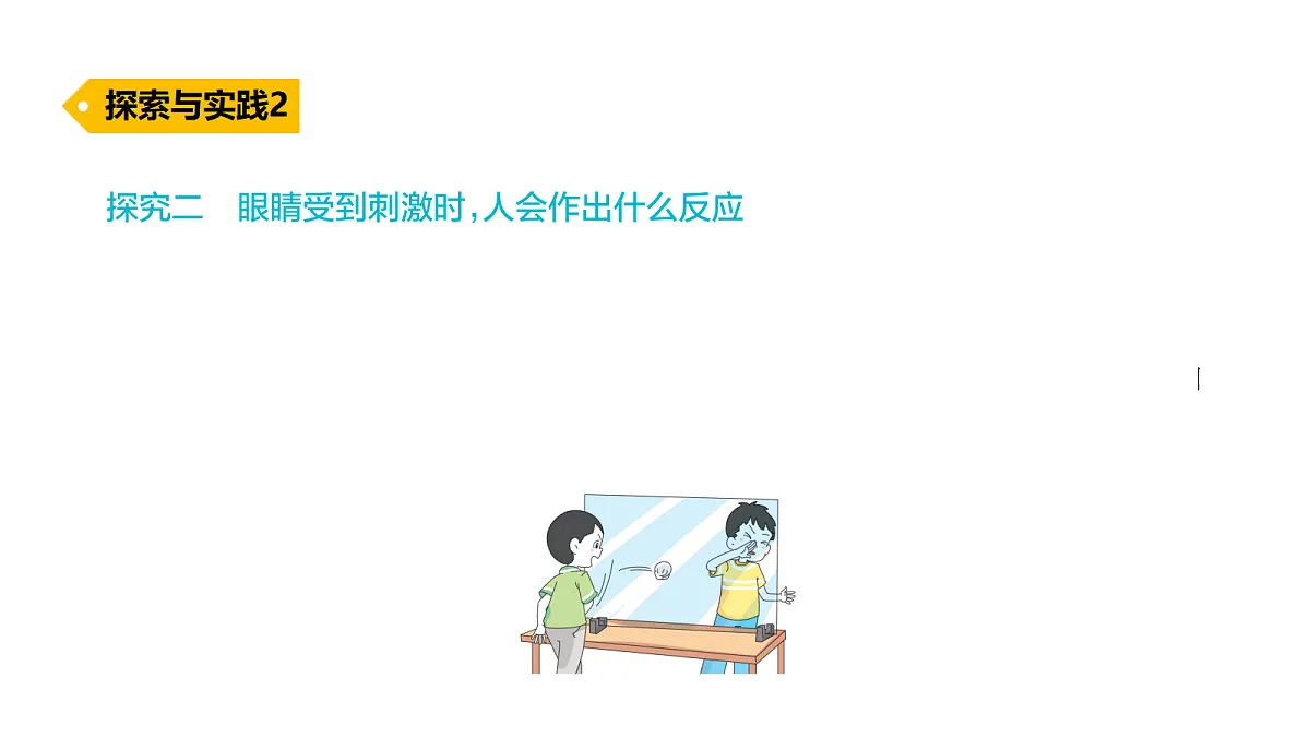 18486033第8页