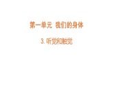 2026年秋粤教版五年级科学上册 3.听觉和触觉（课件）