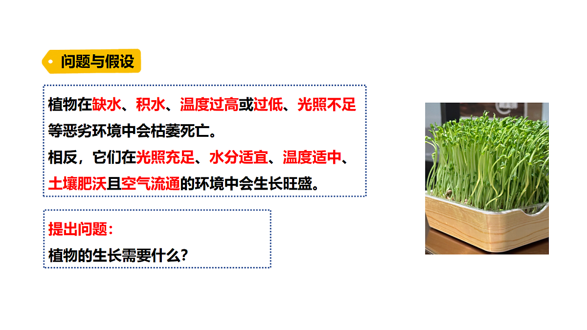 18486043第3页