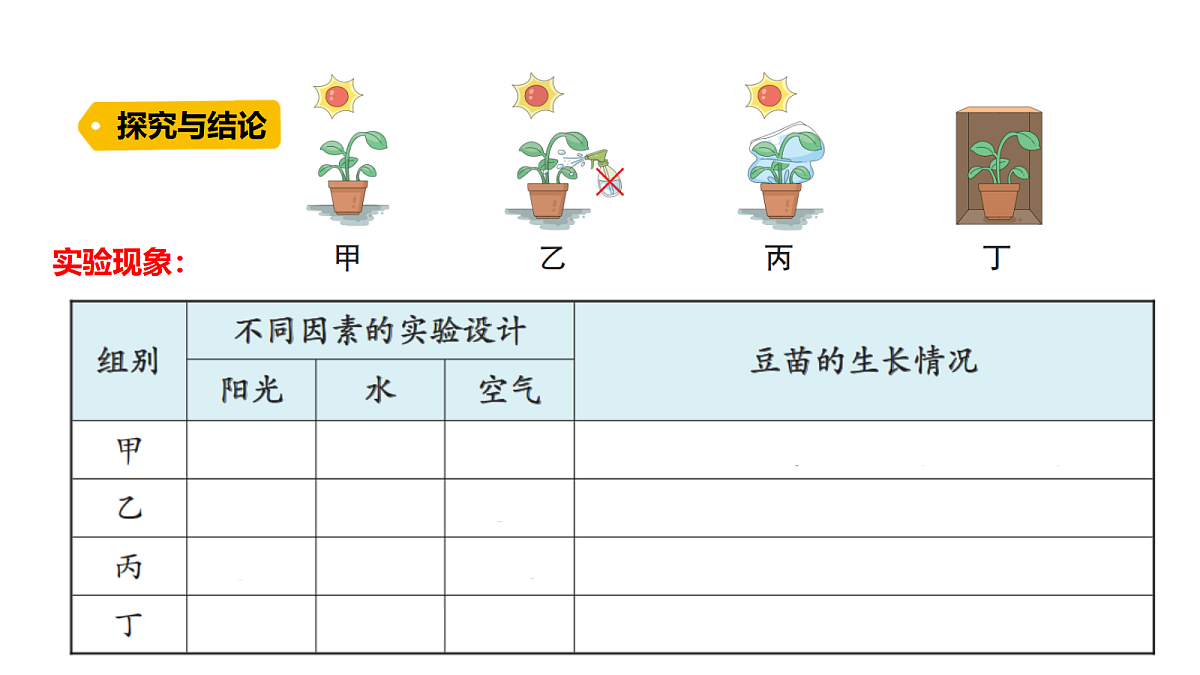 18486043第5页
