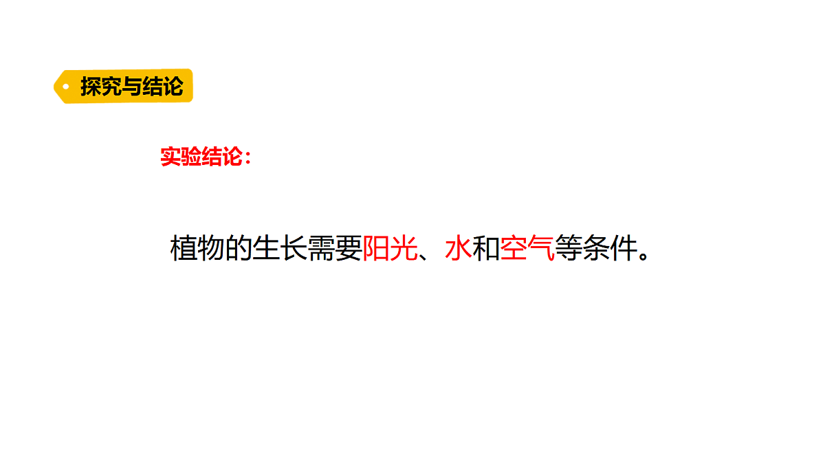 18486043第6页