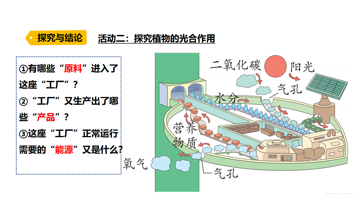 18486043第7页