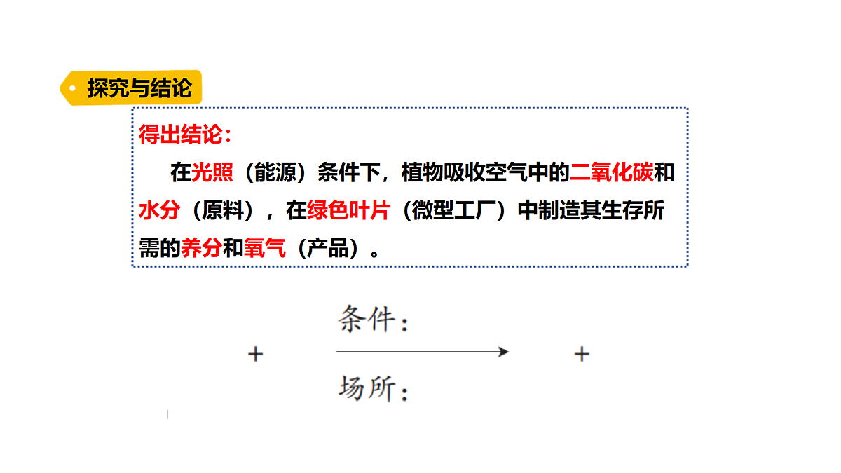 18486043第8页