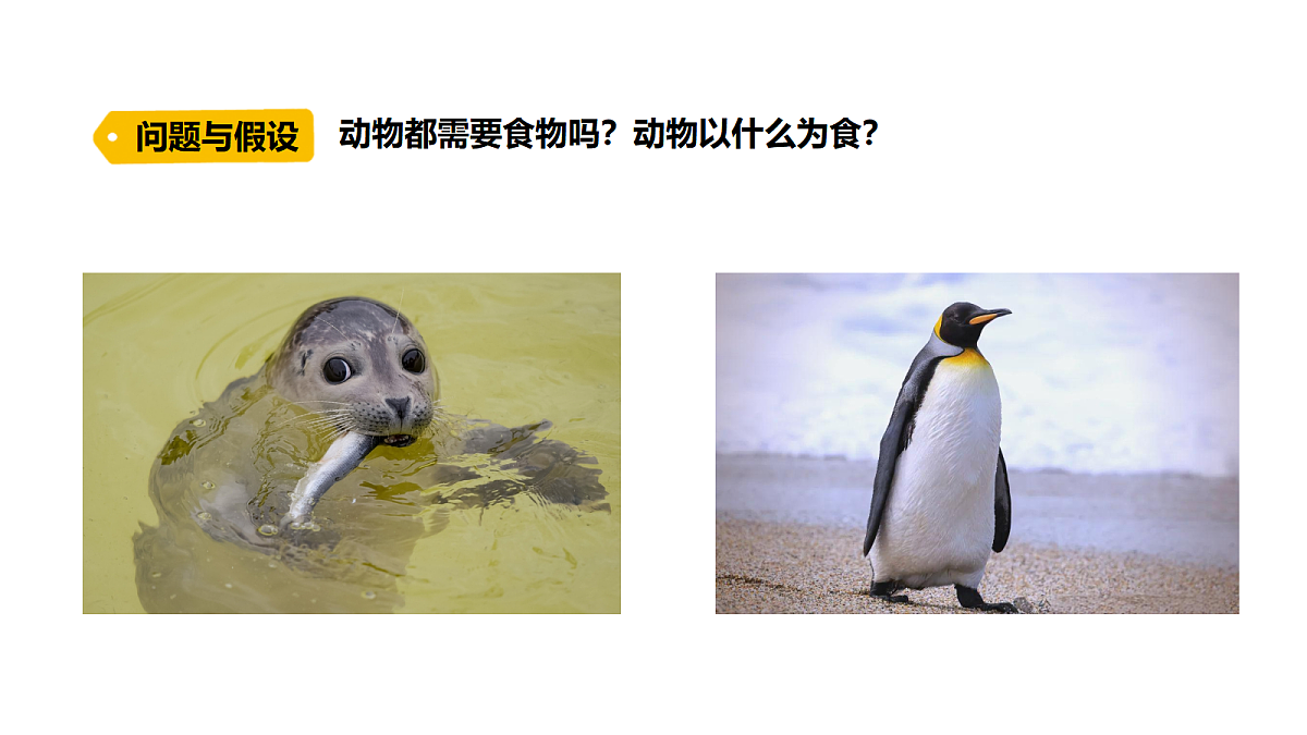 18486045第2页