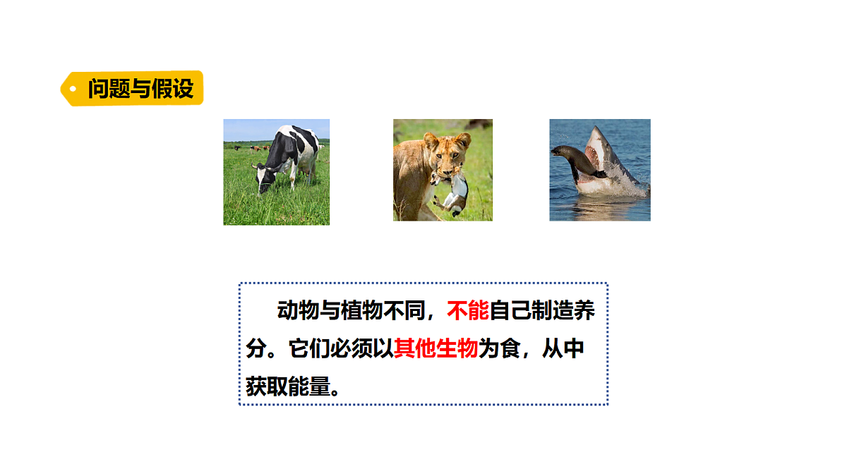 18486045第3页
