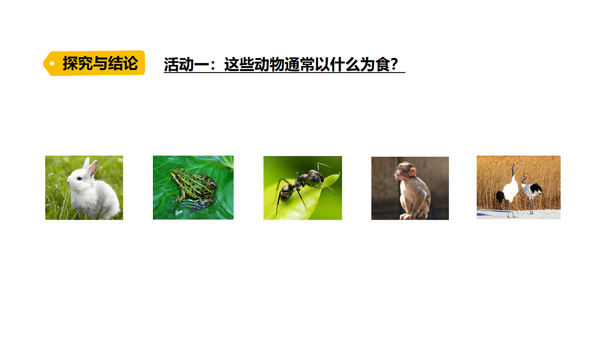 18486045第4页