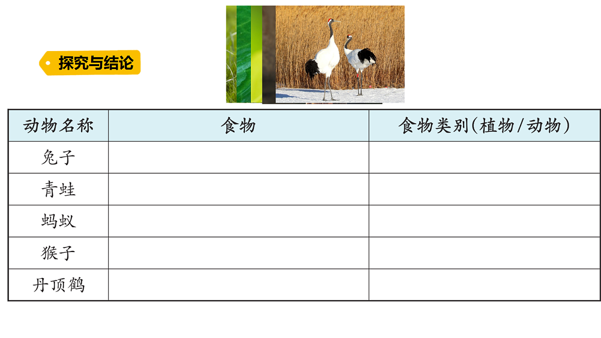18486045第5页