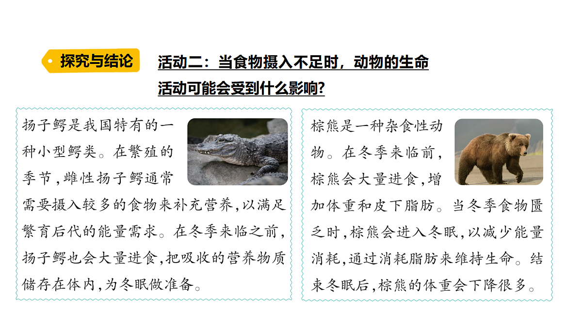 18486045第7页