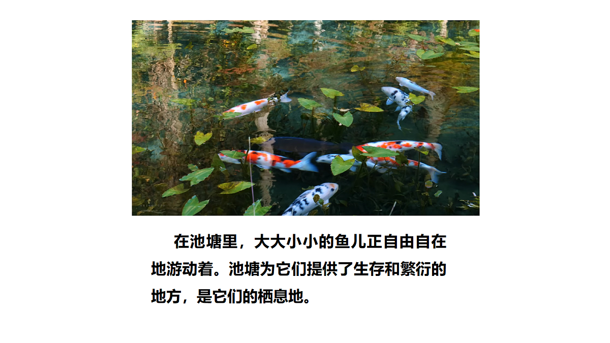 18486050第2页