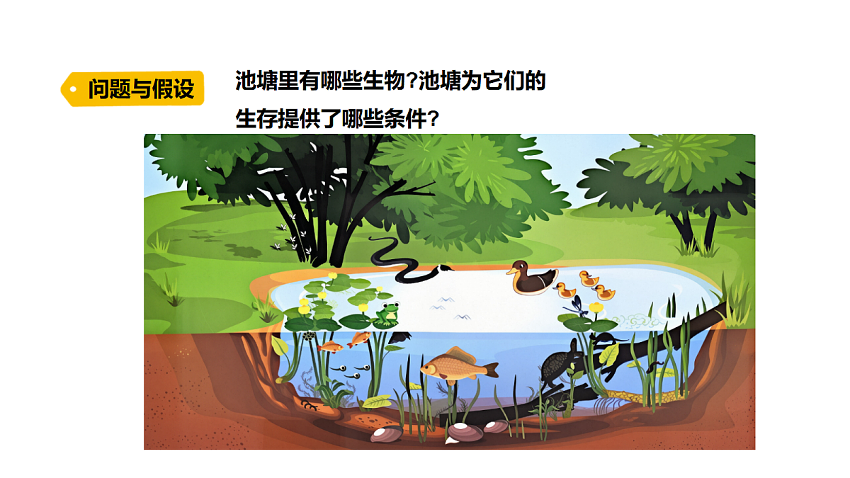 18486050第3页
