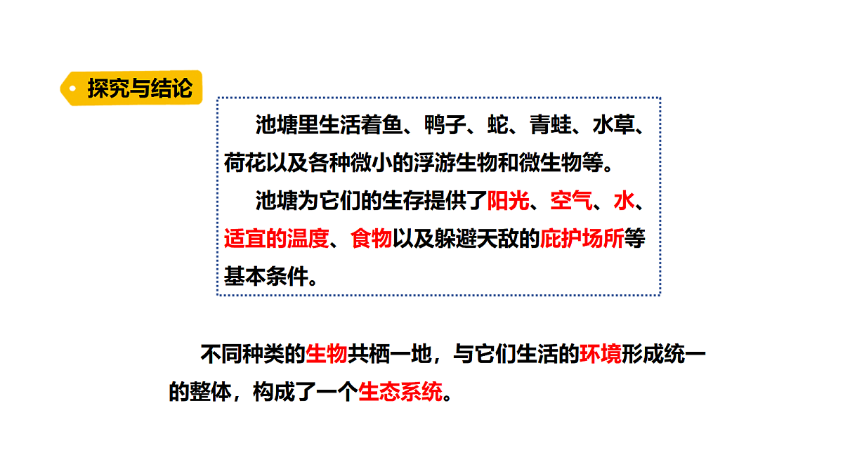 18486050第4页