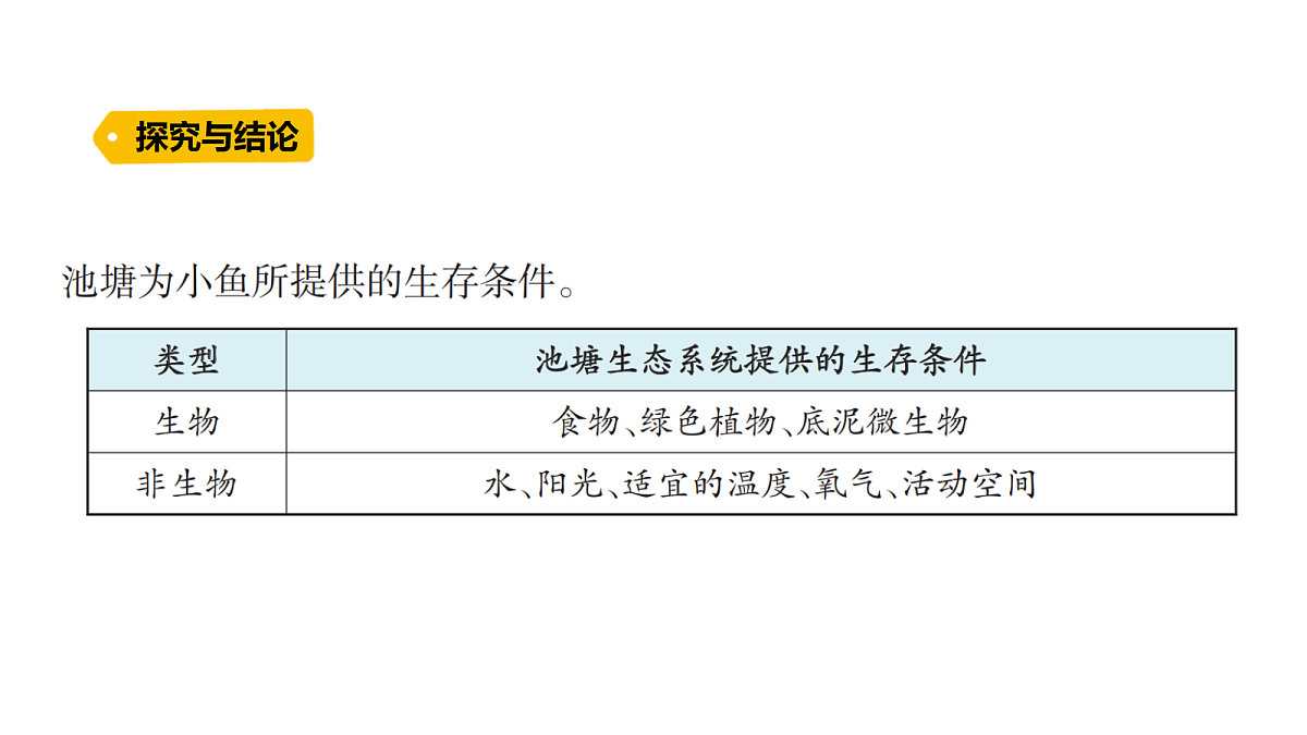 18486050第6页
