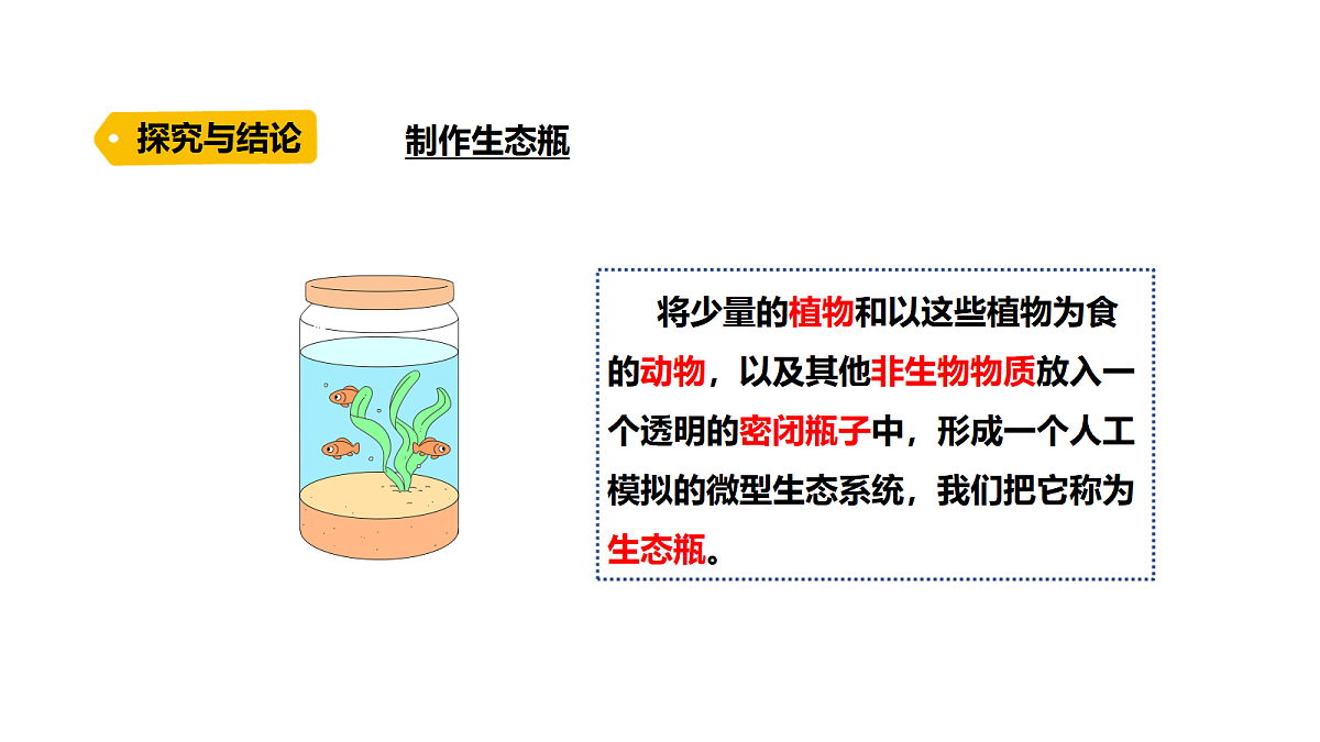 18486050第8页