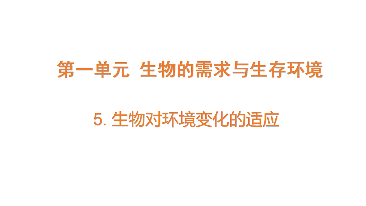 18486054第1页